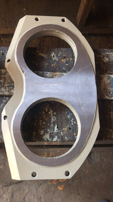 Piatto su ordinazione dello spettacolo dei pezzi di ricambio 260mm della pompa per calcestruzzo di SCHWING